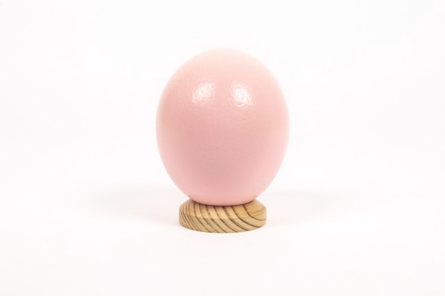 <h4>Egg ostrich paint pink</h4>