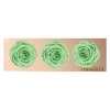 Rose Monalisa Lime Green
