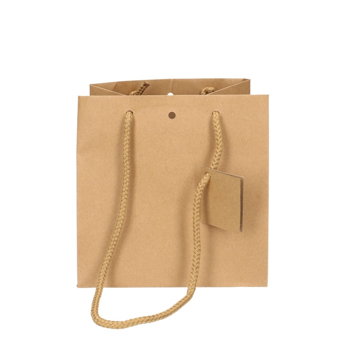 <h4>Bags gift bag 18 18cm</h4>