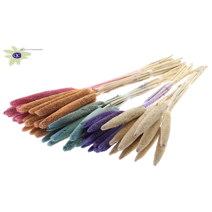 <h4>Babala on natural stem Mixed colours Frosted</h4>