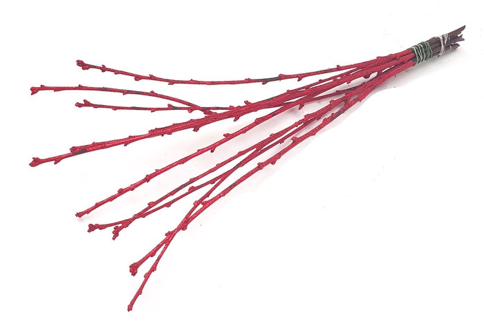 Avium branches lgt 40cm 10 stems per bunch Red + Glitter