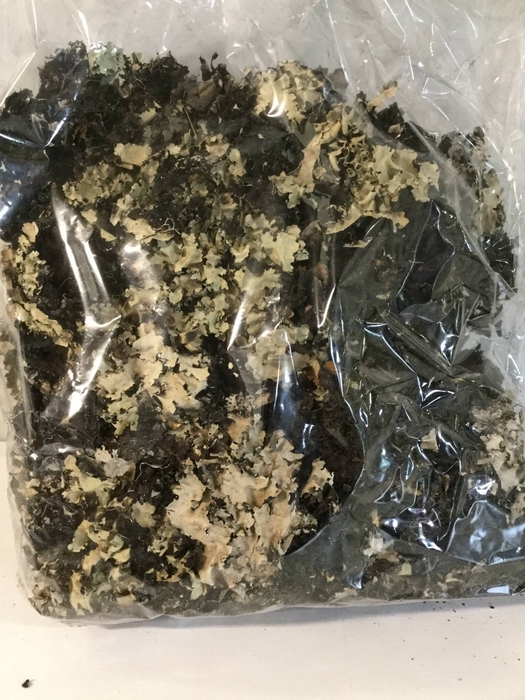 Black moss 250gr