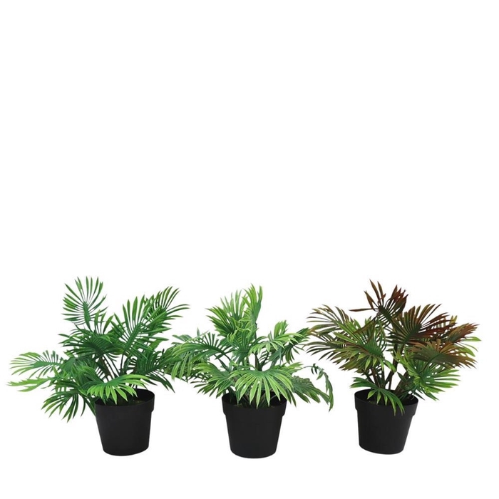 <h4>Kunstplanten Pot Palm d30*26cm 3 ass.</h4>