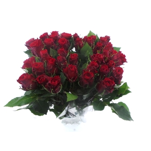 Bouquet Mono Rozen Rood x10 50cm