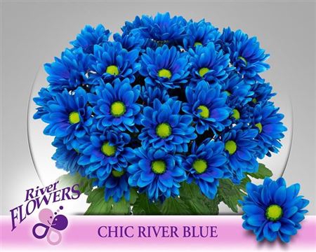 <h4>Chr T Ov Klb H% Blauw</h4>