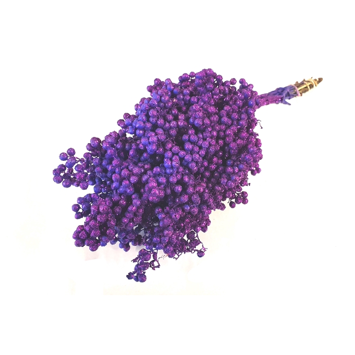 <h4>Pepperberries per bunch in poly Purple + Glitter</h4>
