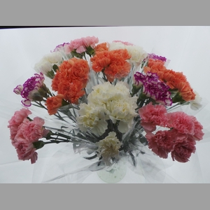 Bouquet Mono Anjers x5 mix 60cm