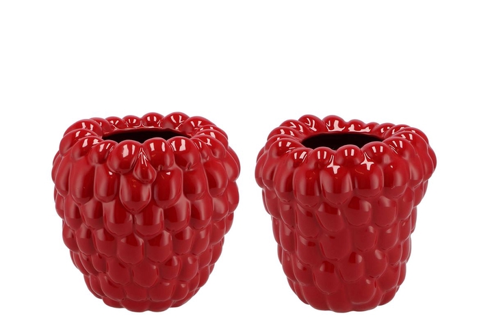 Raspberry Vase Red 19x19cm