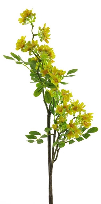 <h4>Crataegus flower spray yellow 104cm</h4>