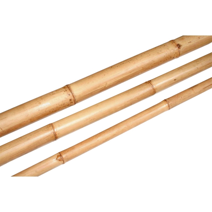 <h4>Branch Bamboo L210W6H6D6</h4>