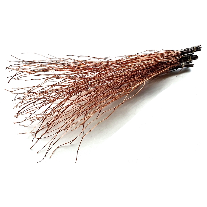 <h4>Birch 60cm 10stems per bunch Copper</h4>