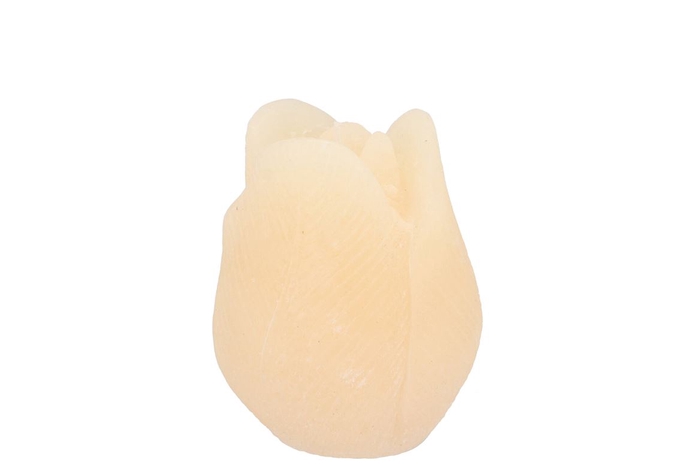 <h4>Candle Tulip Ivory 7x8cm</h4>