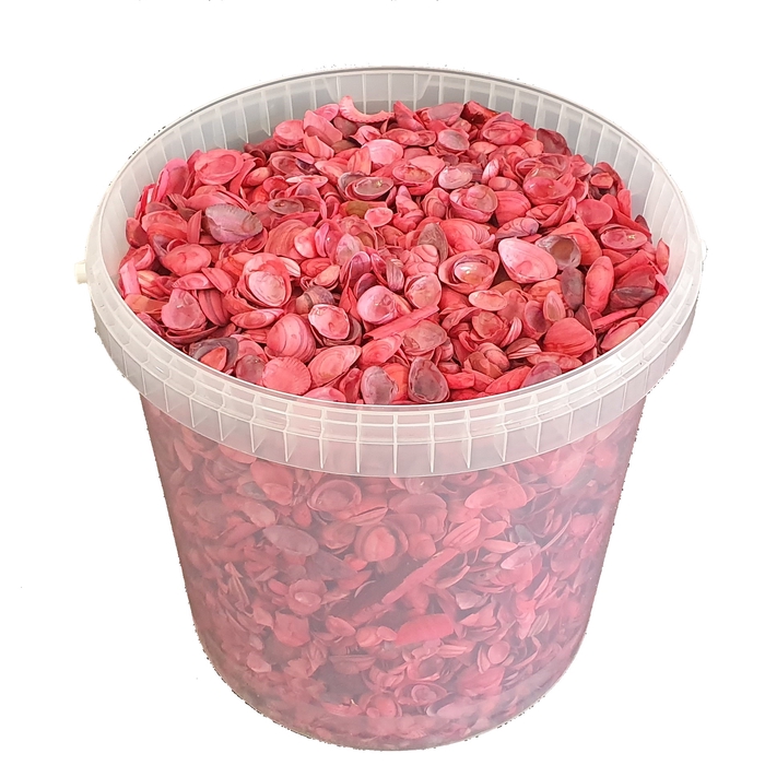 <h4>Shells north sea 10 ltr Red</h4>