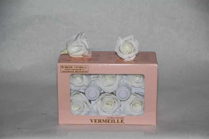 PRESERVED ROSES INES PRINCESS WHITE