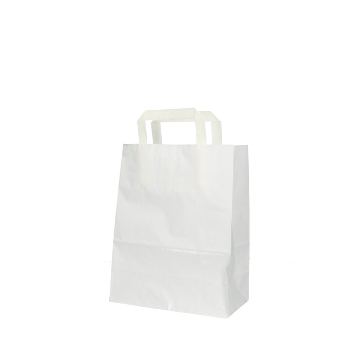 Bags Paper 22/11*28cm