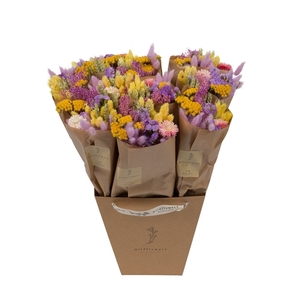 Droogbloemen-Market More 50cm - Blossom Lilac