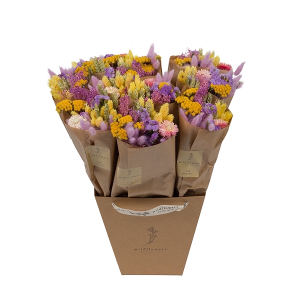 <h4>Droogbloemen-Market More 50cm - Blossom Lilac</h4>