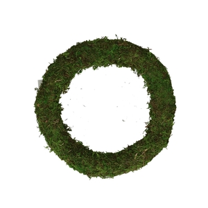 Wreath d30cm Moss