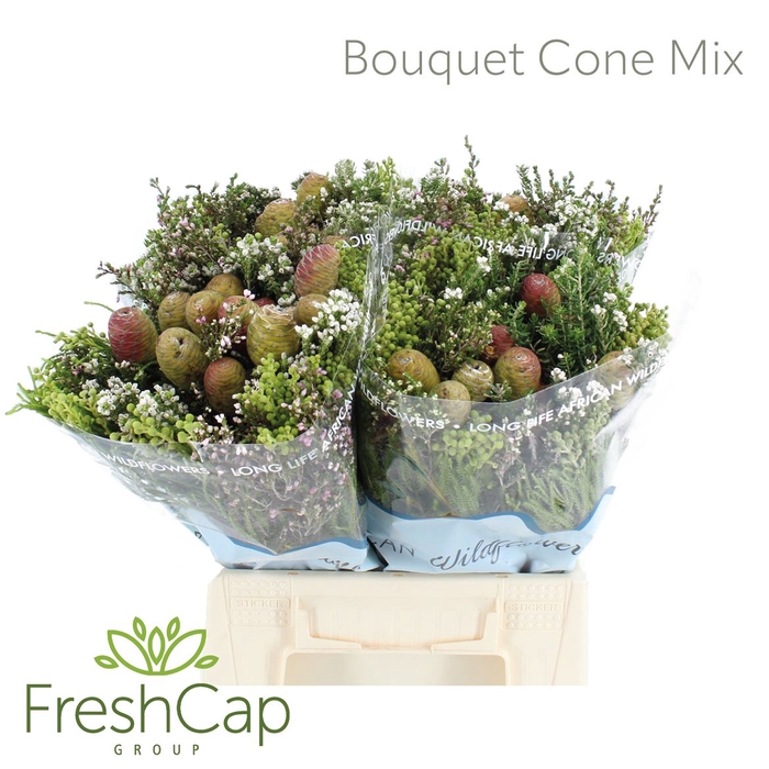 <h4>Bouquet Cone Mix</h4>