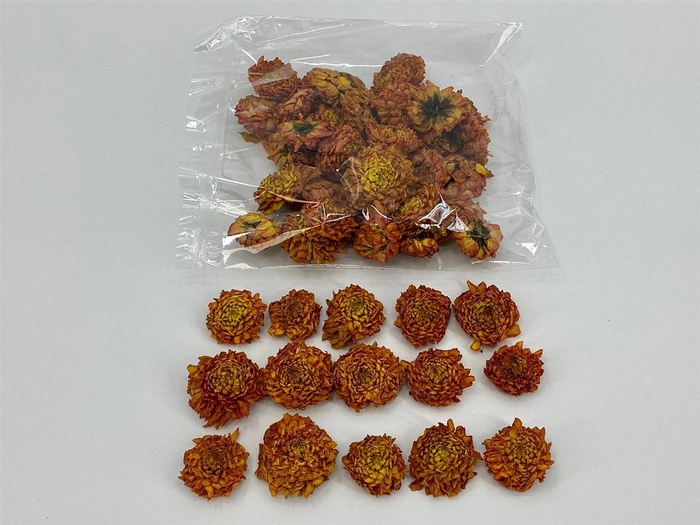Dried Dahlia Heads Orange Bag (50-60 Heads)
