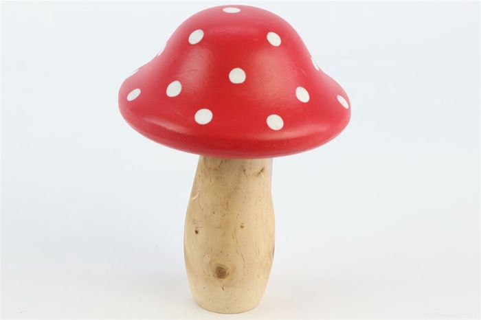 Mushroom Pixie H19D14