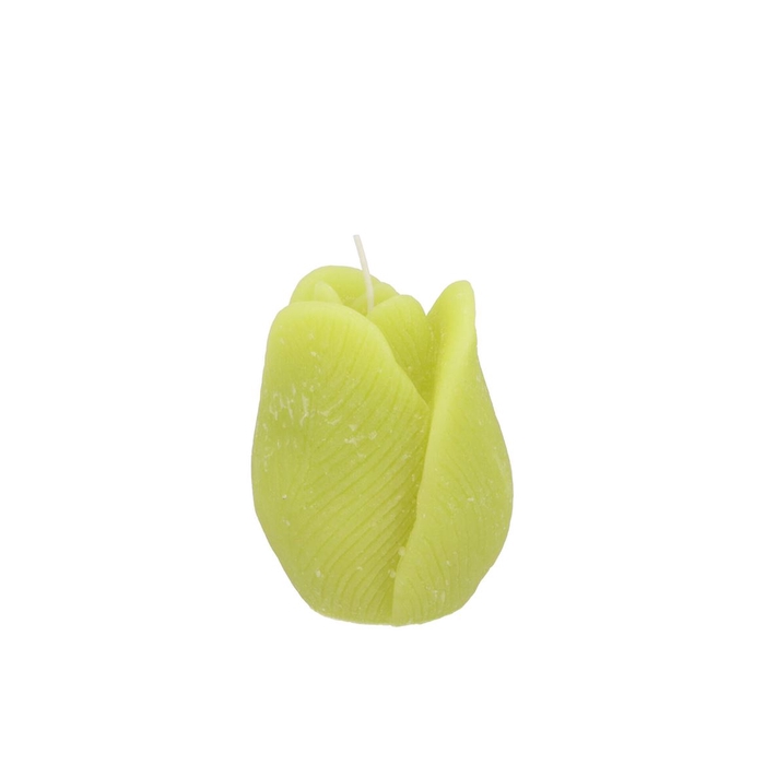 <h4>Candle Tulip Green 7x8cm</h4>