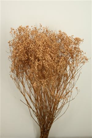 <h4>Dried Gyps Old Gold Bunch</h4>