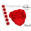 R PRESERVED RED