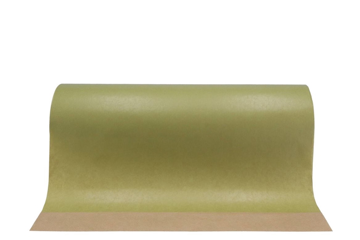 <h4>Papier D'emballage 50cm Vert Olive Rouleau Par 10kg</h4>