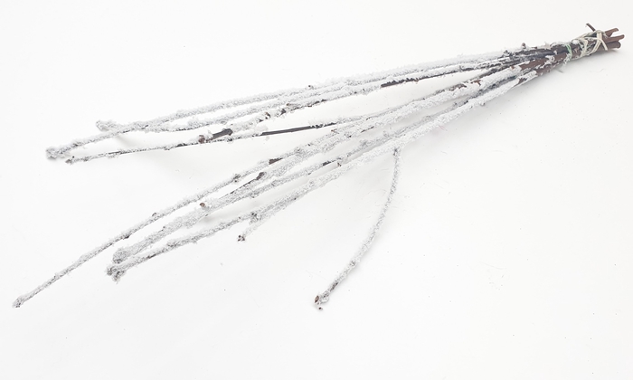 Avium branches lgt 40cm 10 stems per bunch Natural + Snow
