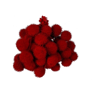 Small ball per bunch in poly Red