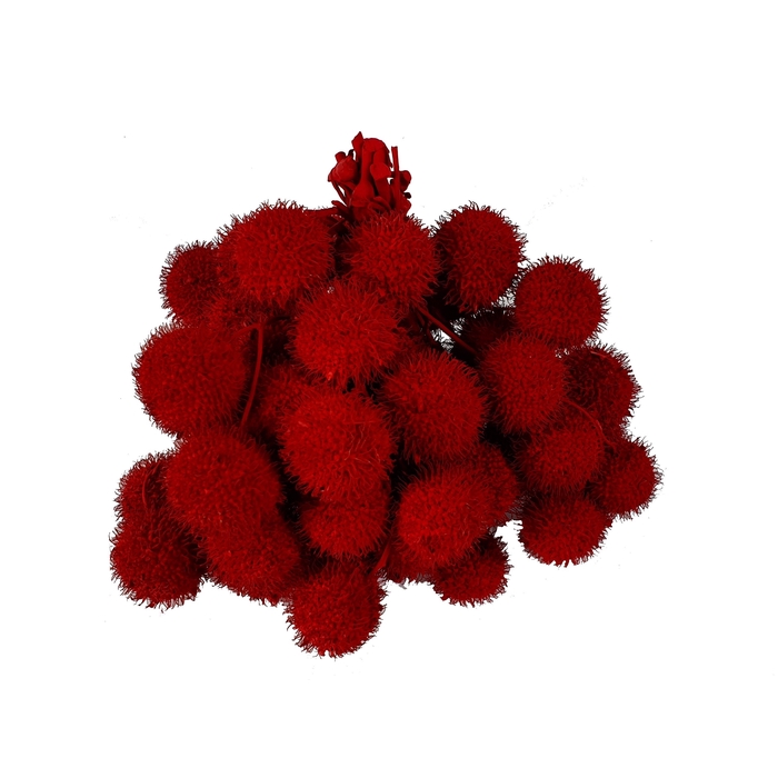 <h4>Small ball per bunch in poly Red + Glitter</h4>