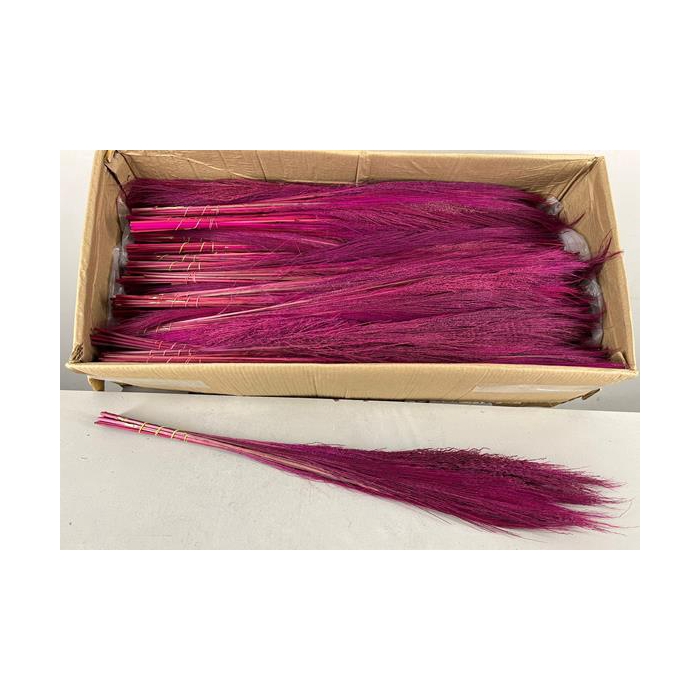 <h4>Df Broom Grass 50gr Pink</h4>
