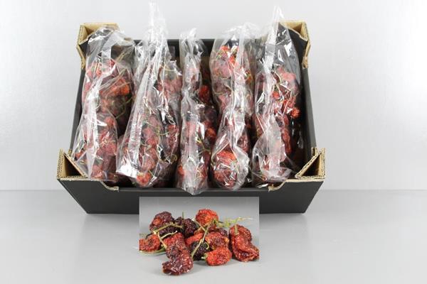 <h4>Frt Chilli Small Red (250g)</h4>