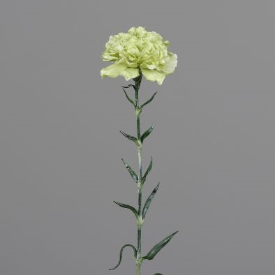 <h4>Carnation 68cm green</h4>