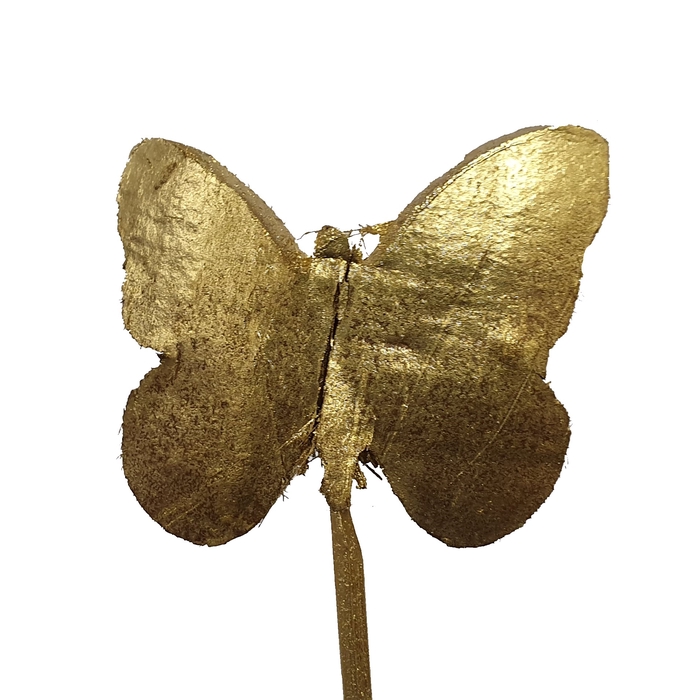 <h4>Coco butterfly on stem Gold</h4>
