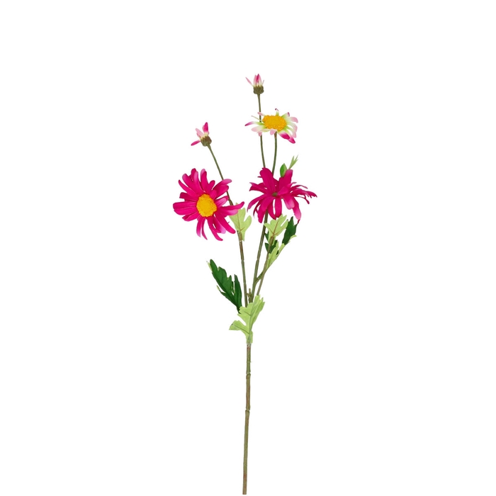 <h4>Artificial flowers Bellis perennis 65cm</h4>