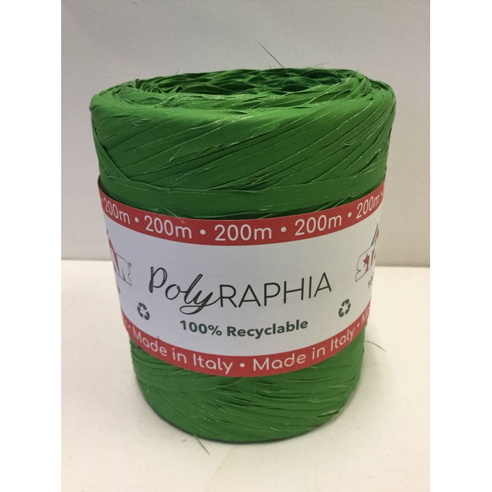 <h4>POLYRAPHIA DARK OLIVE GREEN 15MM 200M (COLOR2651)</h4>