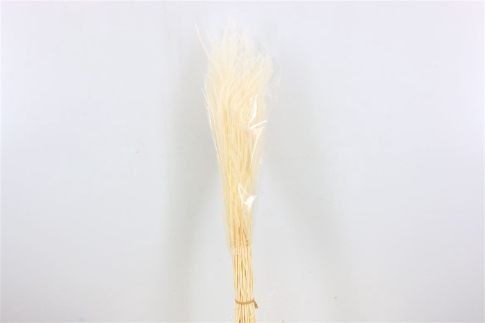 <h4>Dried Ouro Bleached Bunch</h4>