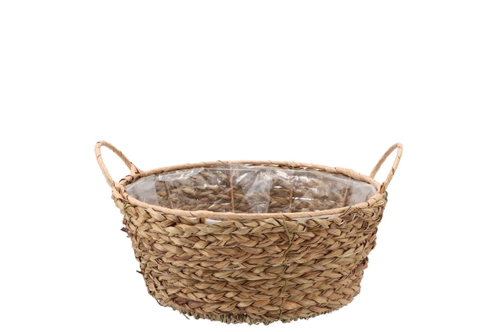 <h4>Seagrass Levi Bowl Basket Natural 22x10cm</h4>
