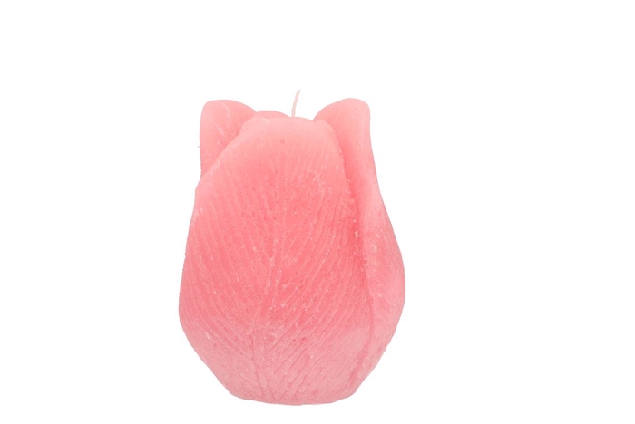 <h4>Candle Tulip Blush Pink 7x8cm</h4>