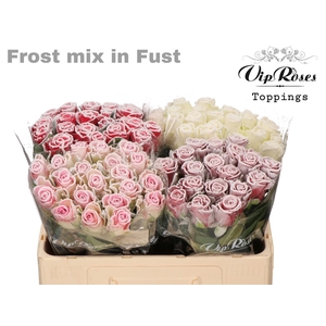 R GR FROST MIX IN FUST
