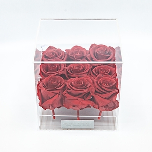 Plexi 15cm rode rozen