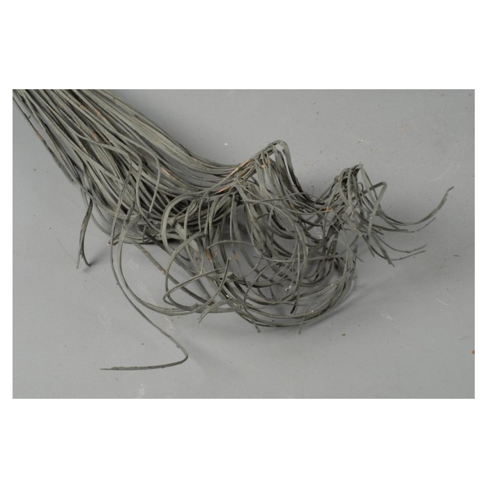 <h4>CURLY TING TING 50ST GREY</h4>