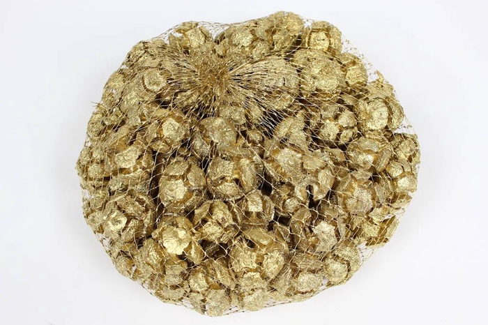 Cupressus 500gram in net gold 