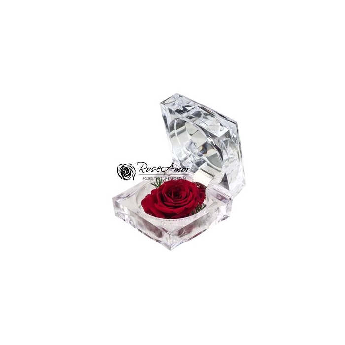 <h4>Giftbox Jewel Red01</h4>