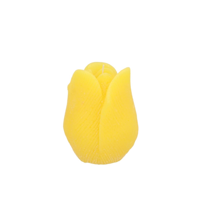 <h4>Candle Tulip Yellow 7x8cm</h4>