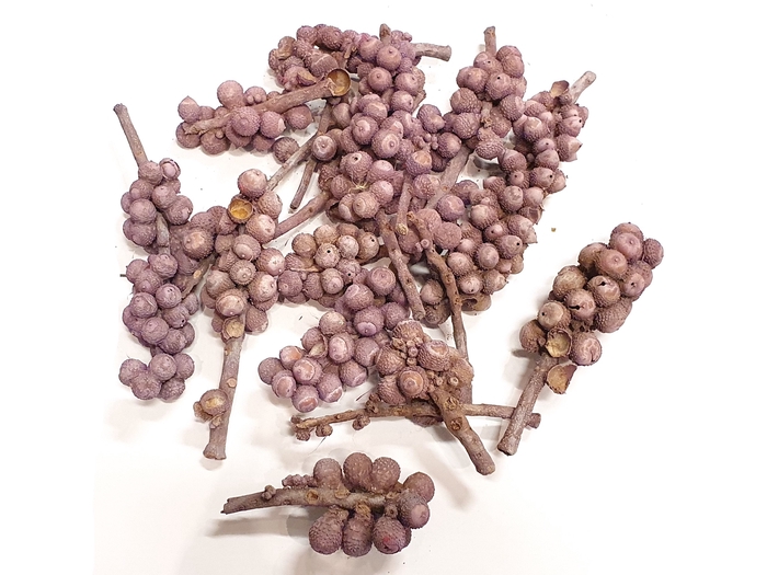 Acorn bunch 250gr in poly Frosted Milka