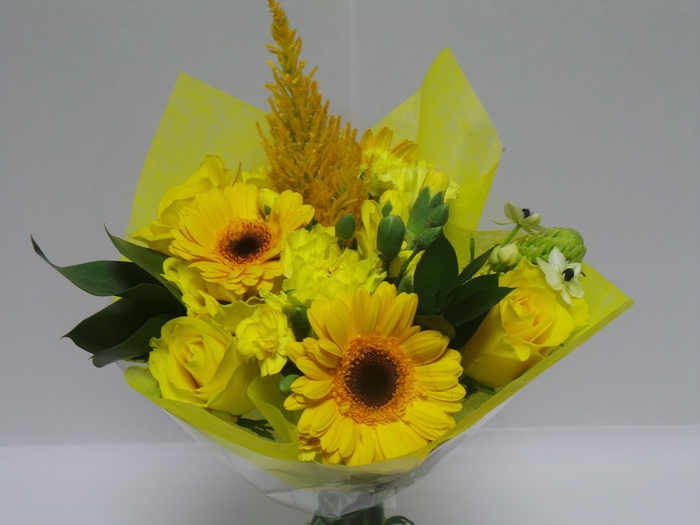 <h4>Bouquet shorties yellow</h4>