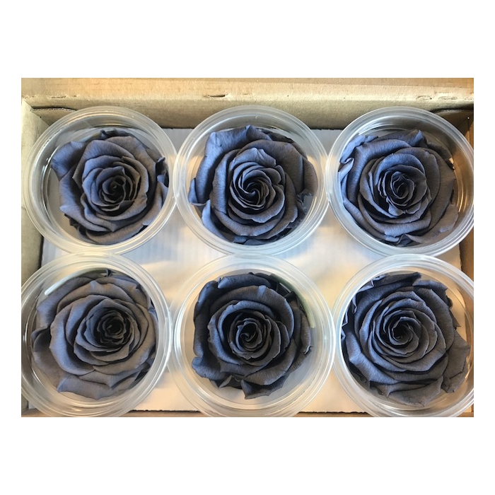 <h4>PRESERVED ROSES L GRY-01</h4>